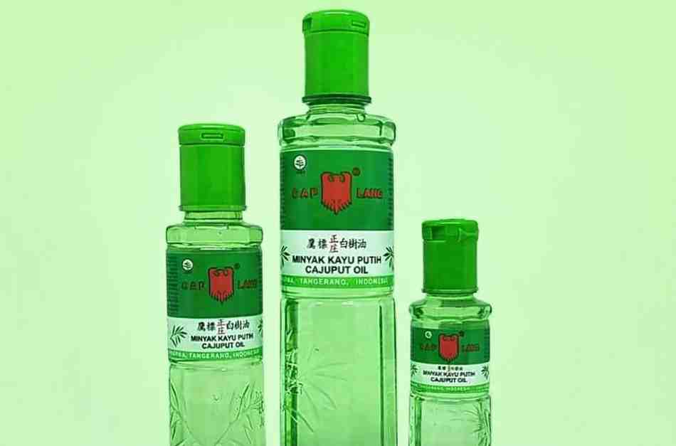 Apa Minyak Kayu Putih Bisa Diminum