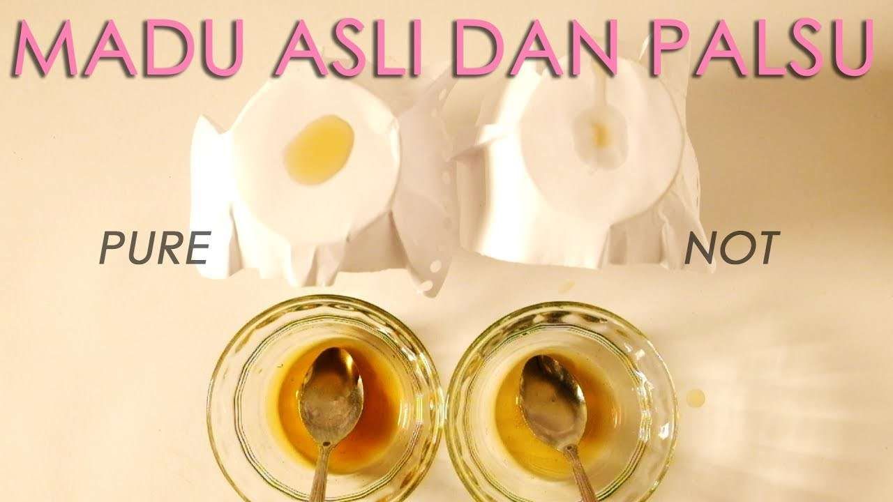 Penjelasan logis mengapa Cara Cek Madu dengan semut seringkali menyesatkan bagi pembeli awam.